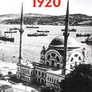 Constantinople 1920