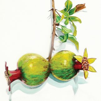 Budding Noors