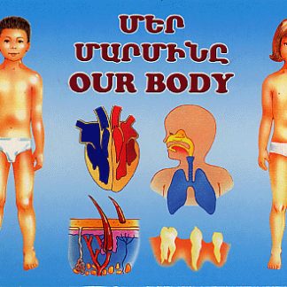 Our Body