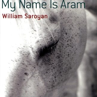 My Name is Aram