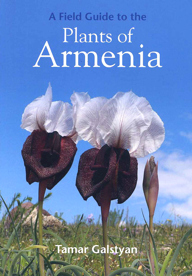 Field Guide to the Plants of Armenia, A
