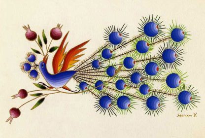 Sparkling Peacock